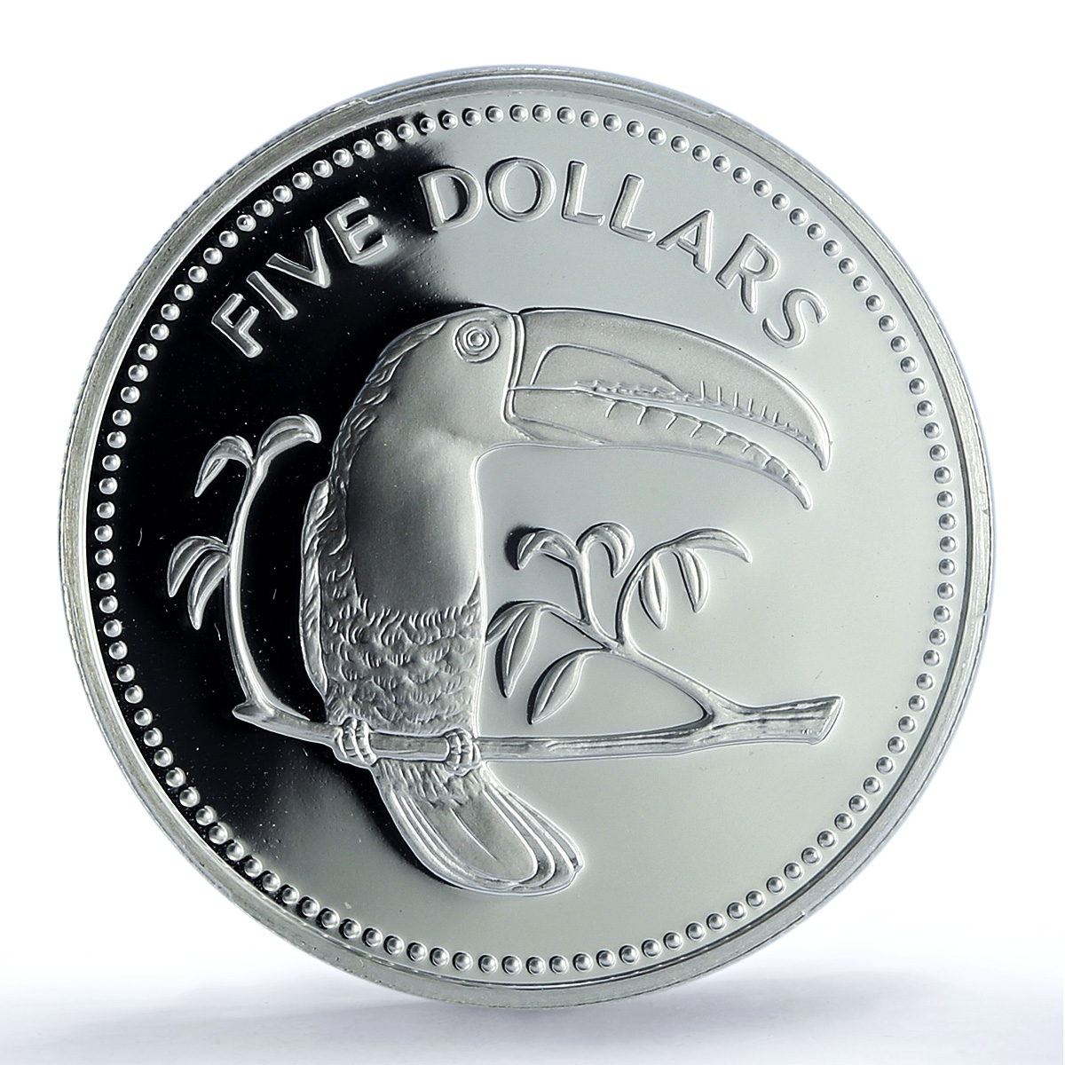 Belize 5 dollars Elizabeth II KM-96a Toucan Bird PR 69 PCGS silver coin 1984 Belize 5 dollars Elizabeth II KM-96a Toucan Bird PR 69 PCGS silver coin 1984