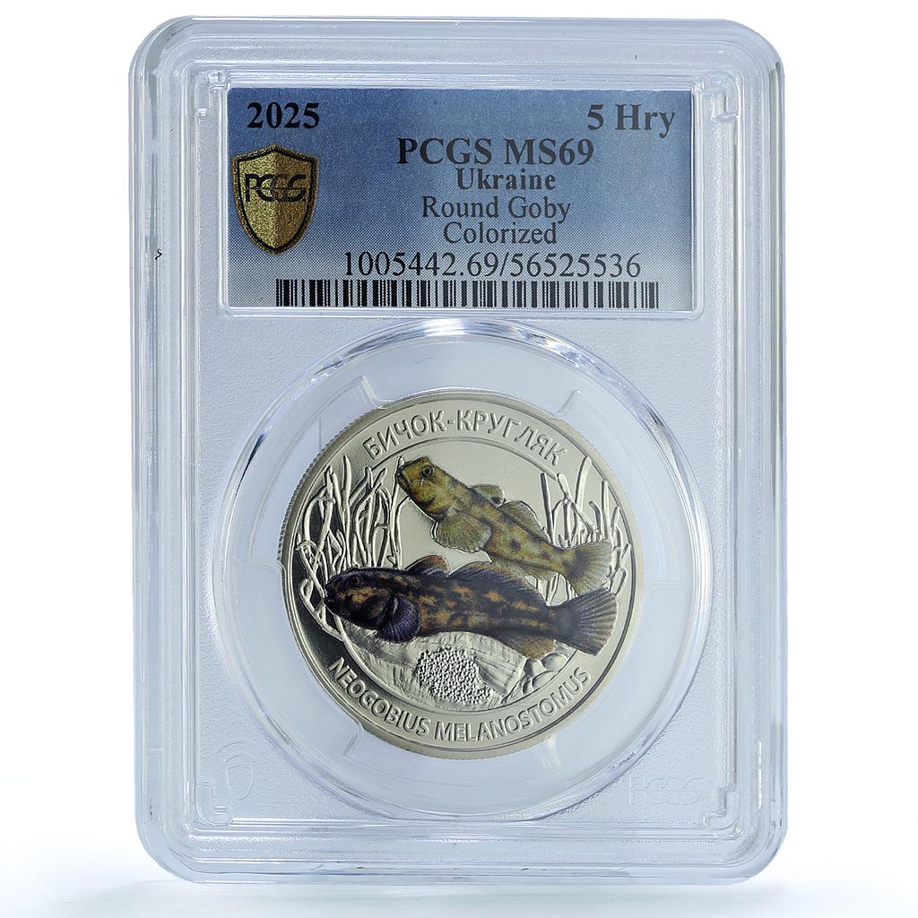 Ukraine 5 hryvnias Round Goby Wildlife Fauna Fish MS 69 PCGS NiBrass coin 2025 Ukraine 5 hryvnias Round Goby Wildlife Fauna Fish MS 69 PCGS NiBrass coin 2025