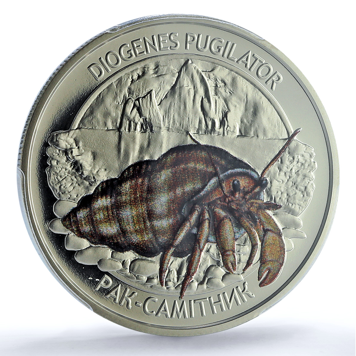 Ukraine 5 hryvnias Hermit Crab Wildlife Fauna MS 69 PCGS NiBrass coin 2025 Ukraine 5 hryvnias Hermit Crab Wildlife Fauna MS 69 PCGS NiBrass coin 2025