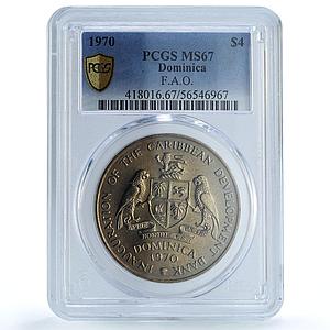 Dominica 4 dollars Caribbean Bank KM-11 FAO Food Day MS 67 PCGS CuNi coin 1970