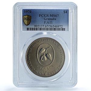 Grenada 4 dollars Caribbean Bank KM-15 FAO Food Day MS 67 PCGS CuNi coin 1970