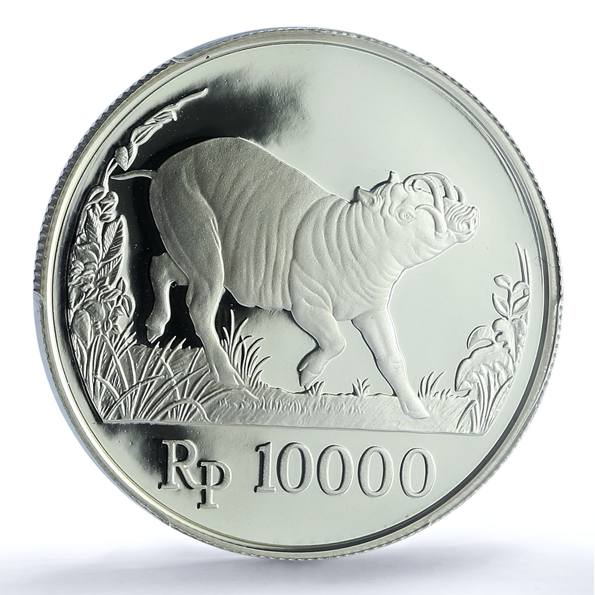 Indonesia 10000 rupiah Babi Rusa KM-45 Wildlife Pig PR 69 PCGS silver coin 1987 Indonesia 10000 rupiah Babi Rusa KM-45 Wildlife Pig PR 69 PCGS silver coin 1987