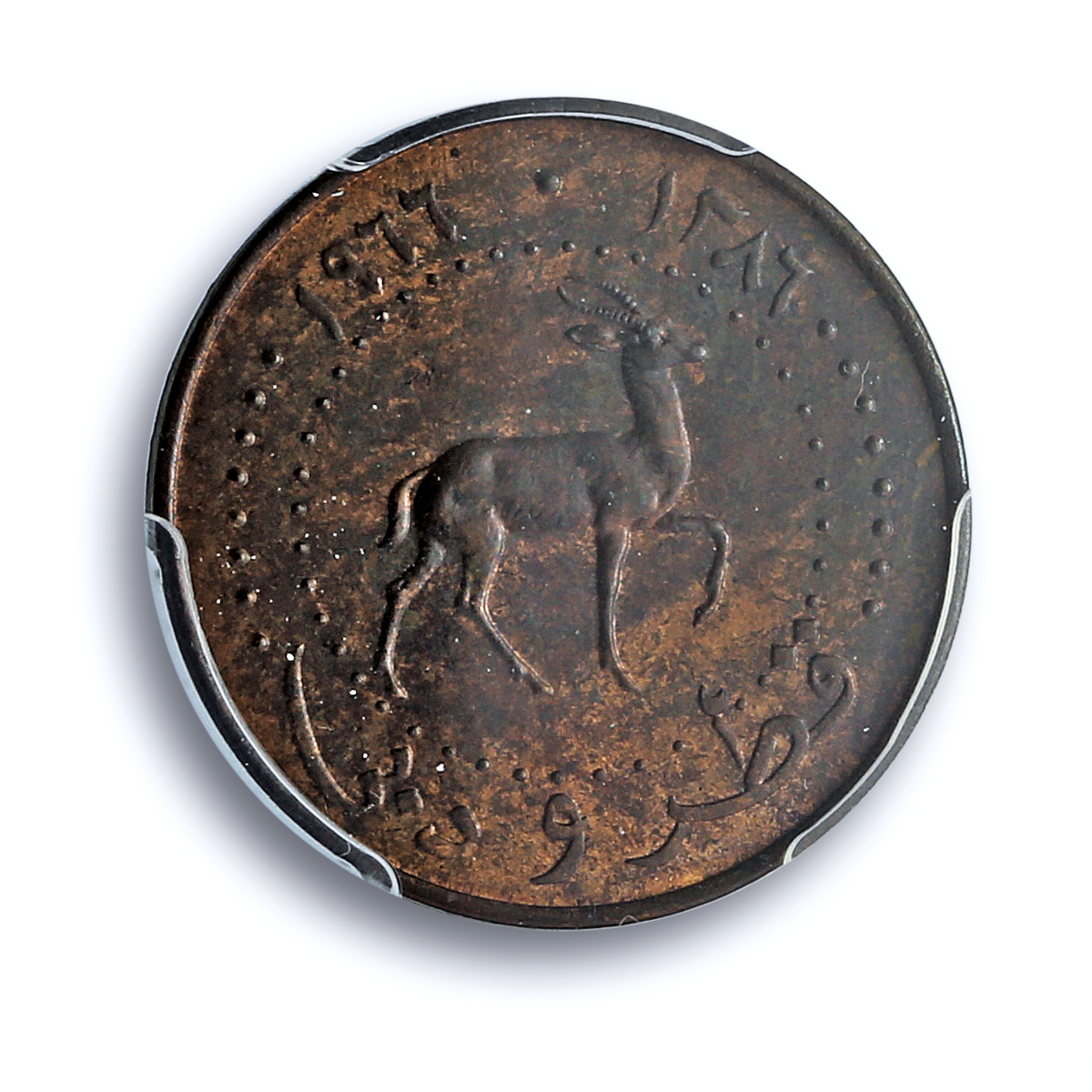 Qatar and Dubai 5 dirhams Ahmad KM-2 Gazelle MS 63 PCGS bronze coin 1966 Qatar and Dubai 5 dirhams Ahmad KM-2 Gazelle MS 63 PCGS bronze coin 1966