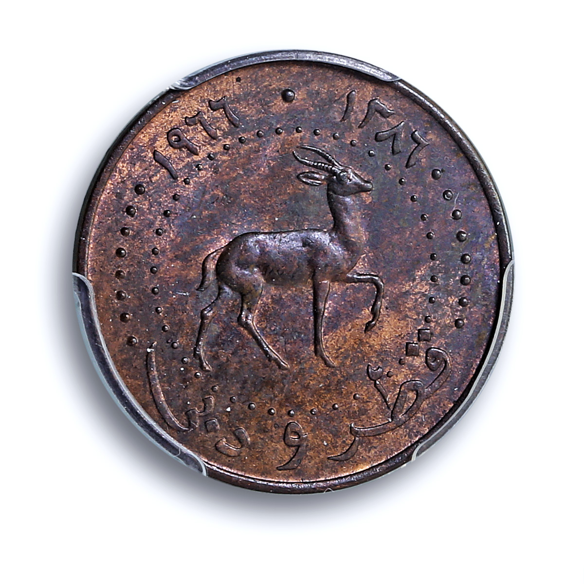 Qatar and Dubai 5 dirhams Ahmad KM-2 Gazelle MS 63 PCGS bronze coin 1966 Qatar and Dubai 5 dirhams Ahmad KM-2 Gazelle MS 63 PCGS bronze coin 1966
