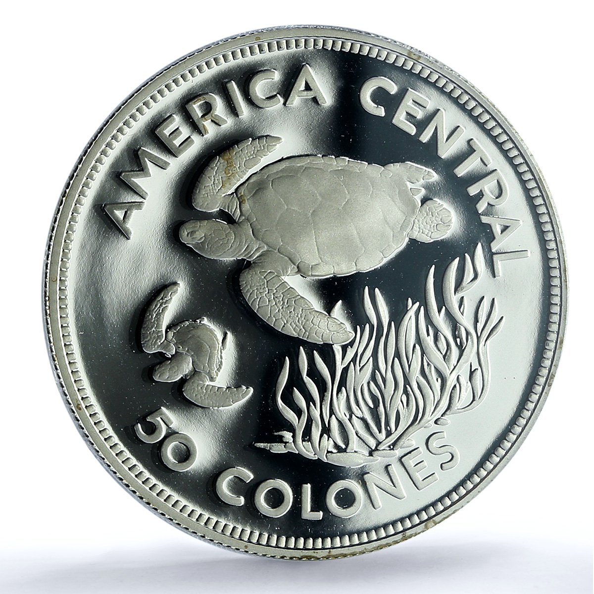 Costa Rica 50 colones Green Turtle KM-200a Fauna PR 70 PCGS silver coin 1974