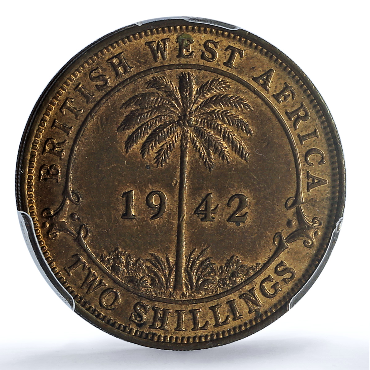 West Africa British 2 shillings George VI KM-24 MS 62 PCGS NiBrass coin 1942 KN