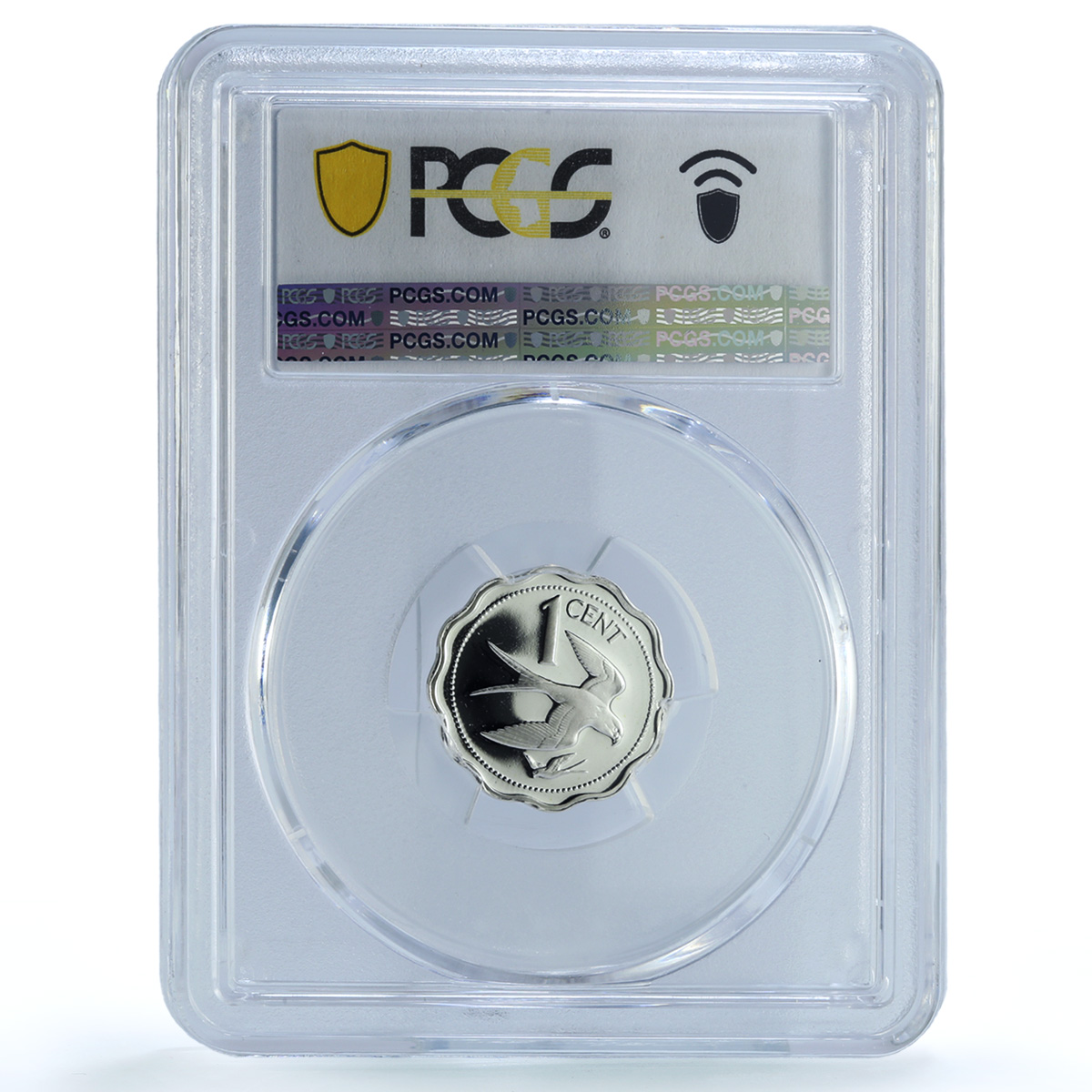 Belize 1 cent Elizabeth II KM-90a Swallow Kite Bird PR 70 PCGS silver coin 1984 Belize 1 cent Elizabeth II KM-90a Swallow Kite Bird PR 70 PCGS silver coin 1984