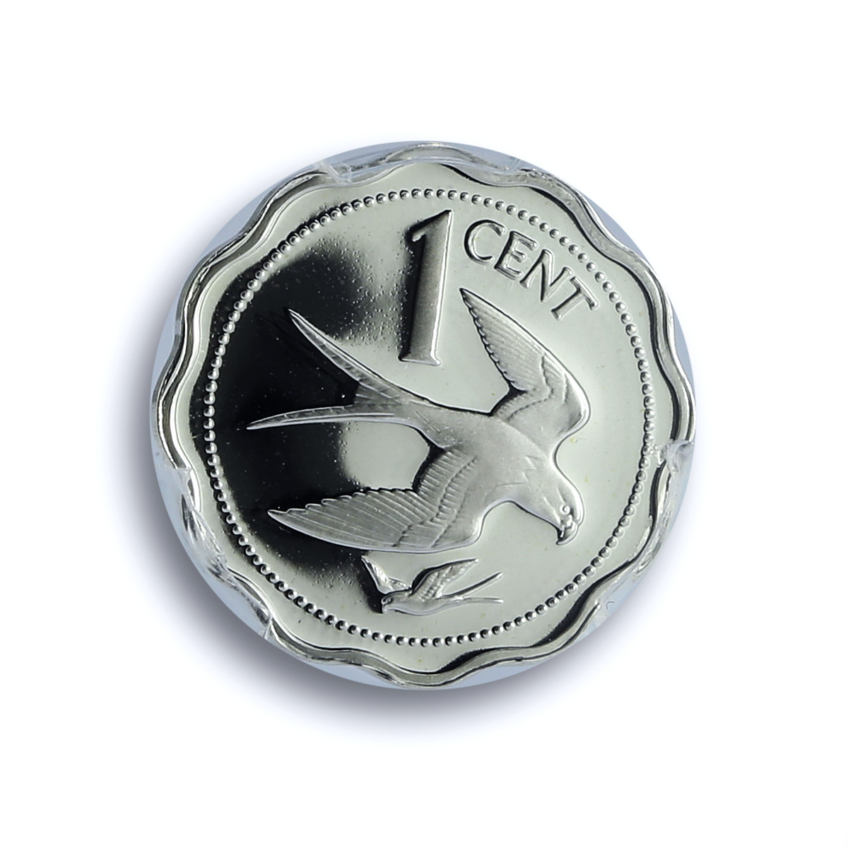 Belize 1 cent Elizabeth II KM-90a Swallow Kite Bird PR 70 PCGS silver coin 1984 Belize 1 cent Elizabeth II KM-90a Swallow Kite Bird PR 70 PCGS silver coin 1984