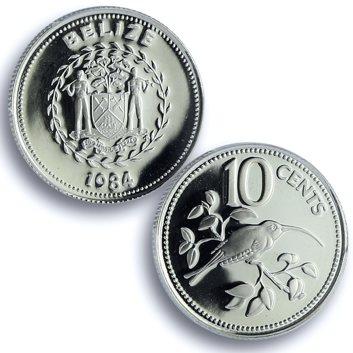 Belize 10 cents Elizabeth II KM-92a Hermit Bird PR 69 PCGS silver coin 1984 Belize 10 cents Elizabeth II KM-92a Hermit Bird PR 69 PCGS silver coin 1984