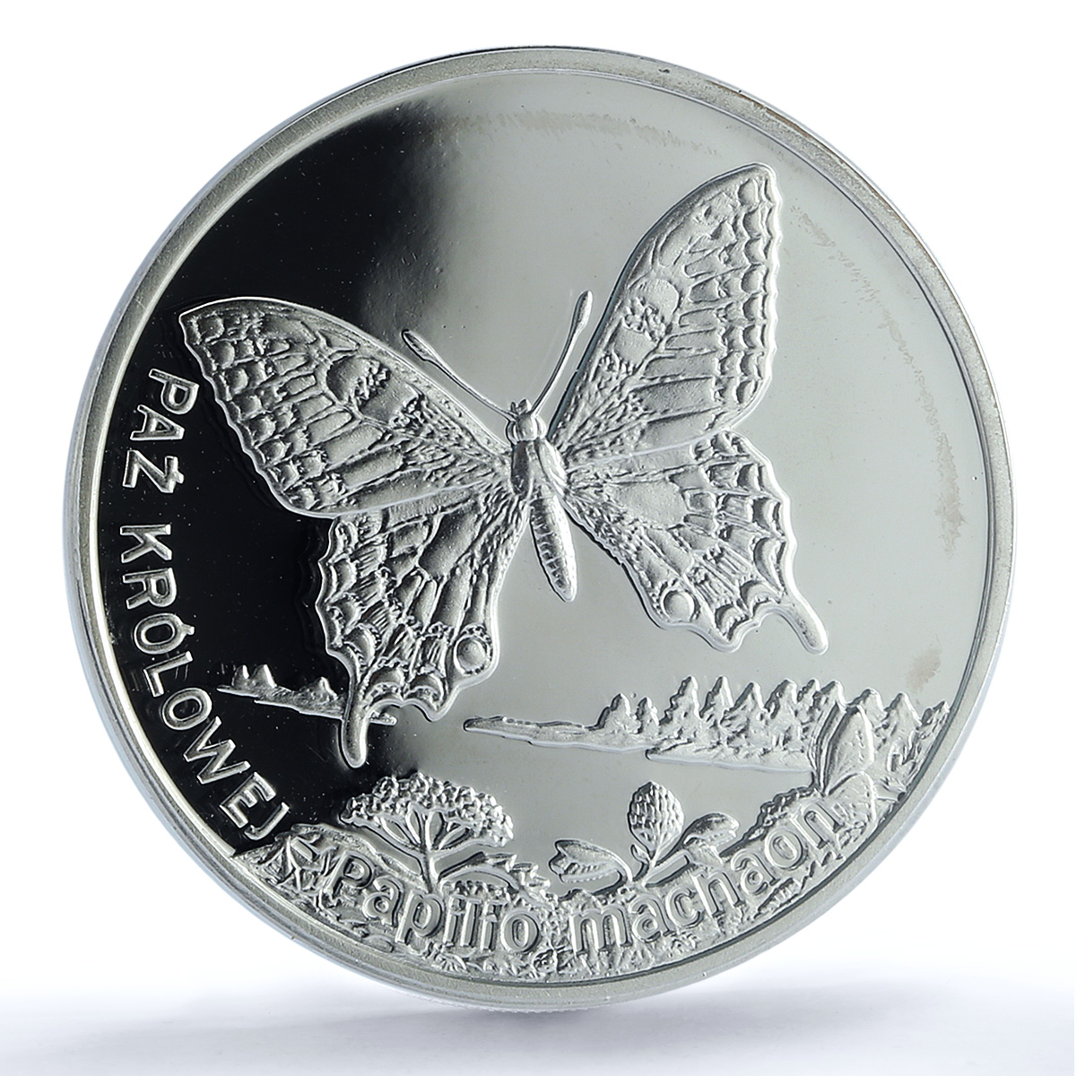 Poland 20 zlotych Swallowtail Machaon Y#415 Butterfly PR67 PCGS silver coin 2001 Poland 20 zlotych Swallowtail Machaon Y#415 Butterfly PR67 PCGS silver coin 2001