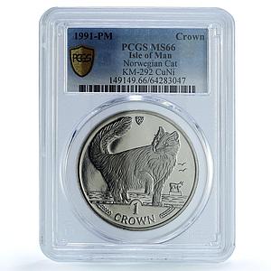 Isle of Man 1 crown Norwegian Forest KM-292 Cat Crowns MS 66 PCGS CuNi coin 1991
