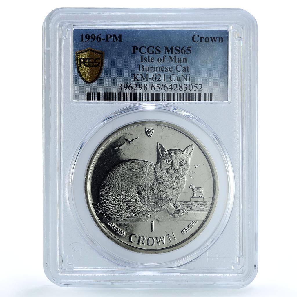 Isle of Man 1 crown Burmese Cat KM-621 Cat Crowns MS 65 PCGS CuNi coin 1996 Isle of Man 1 crown Burmese Cat KM-621 Cat Crowns MS 65 PCGS CuNi coin 1996