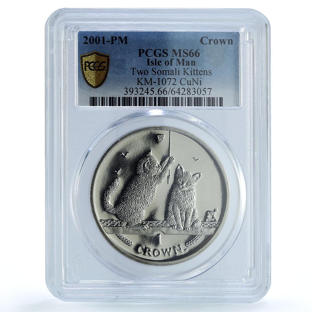 Isle of Man 1 crown Somali Kittens KM-1072 Cat Crowns MS 66 PCGS CuNi coin 2001 Isle of Man 1 crown Somali Kittens KM-1072 Cat Crowns MS 66 PCGS CuNi coin 2001