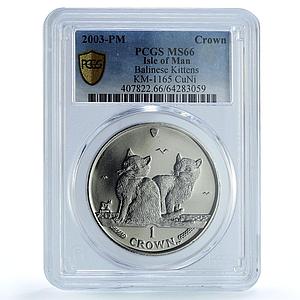Isle of Man 1 crown Balinese Kittens KM-1165 Cat Crowns MS66 PCGS CuNi coin 2003