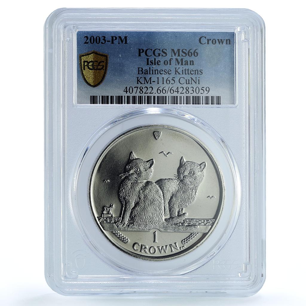 Isle of Man 1 crown Balinese Kittens KM-1165 Cat Crowns MS66 PCGS CuNi coin 2003 Isle of Man 1 crown Balinese Kittens KM-1165 Cat Crowns MS66 PCGS CuNi coin 2003