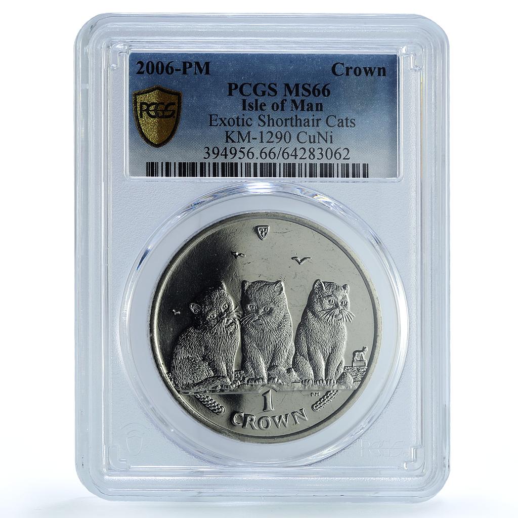 Isle of Man 1 crown Exotic Shorthair KM-1290 Cat Crowns MS 66 PCGS Ni coin 2006 Isle of Man 1 crown Exotic Shorthair KM-1290 Cat Crowns MS 66 PCGS Ni coin 2006