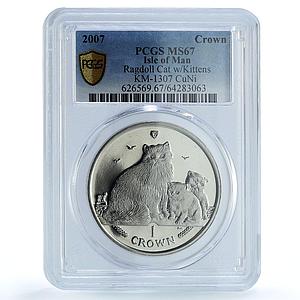 Isle of Man 1 crown Ragdoll Cat KM-1307 Cat Crowns MS 67 PCGS CuNi coin 2007