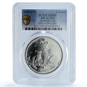 Isle of Man 1 crown Burmilla Cat KM-1424 Cat Crowns MS 65 PCGS CuNi coin 2008