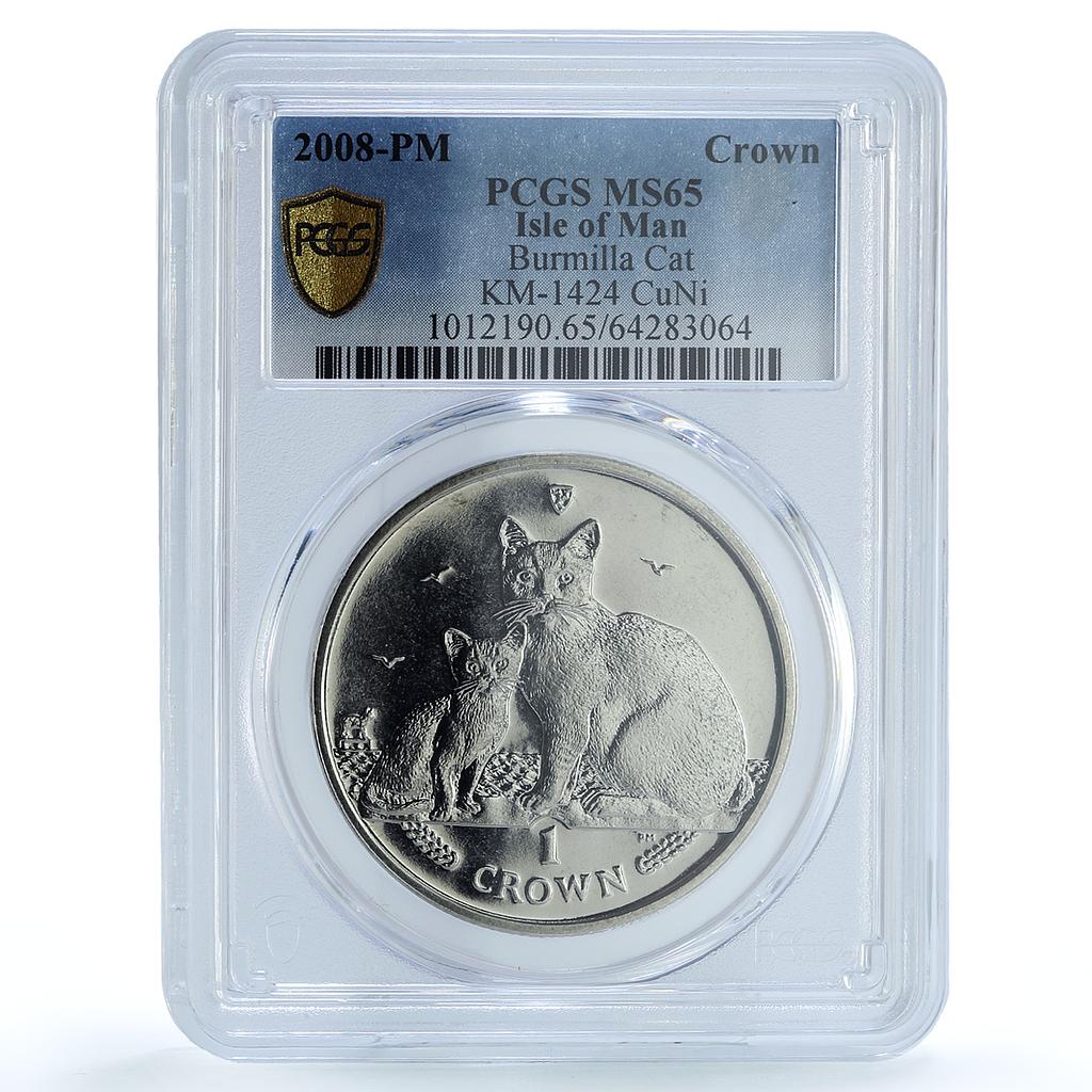 Isle of Man 1 crown Burmilla Cat KM-1424 Cat Crowns MS 65 PCGS CuNi coin 2008 Isle of Man 1 crown Burmilla Cat KM-1424 Cat Crowns MS 65 PCGS CuNi coin 2008