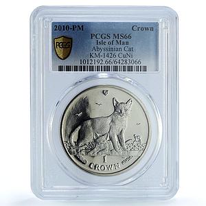 Isle of Man 1 crown Abyssinian Cat KM-1426 Cat Crowns MS 66 PCGS CuNi coin 2010