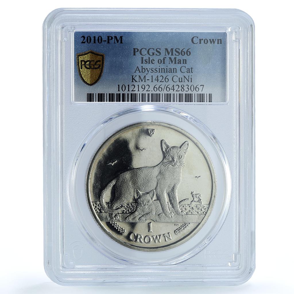 Isle of Man 1 crown Abyssinian Cat KM-1426 Cat Crowns MS 66 PCGS CuNi coin 2010 Isle of Man 1 crown Abyssinian Cat KM-1426 Cat Crowns MS 66 PCGS CuNi coin 2010