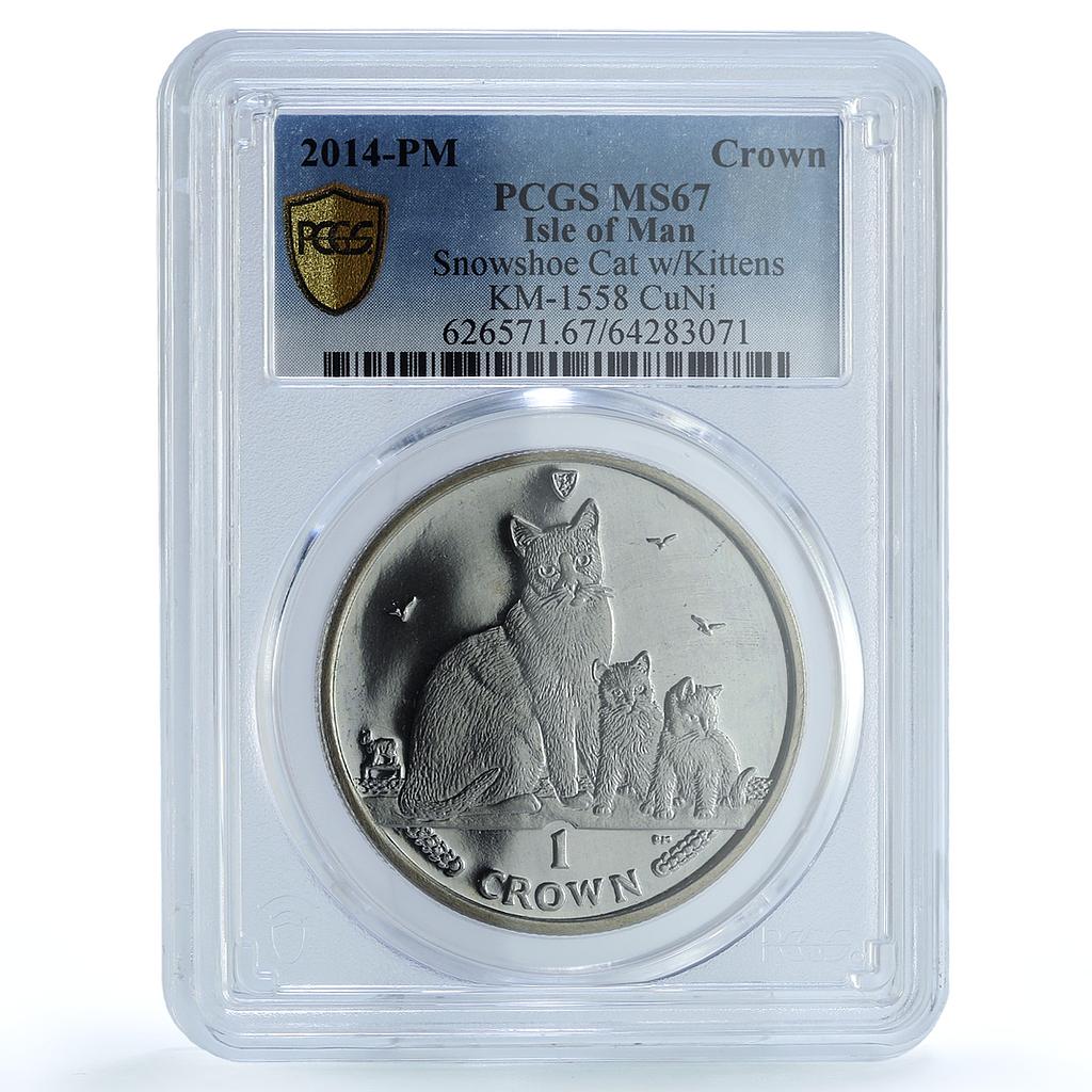 Isle of Man 1 crown Snowshoe Cat KM-1558 Cat Crowns MS 67 PCGS CuNi coin 2014