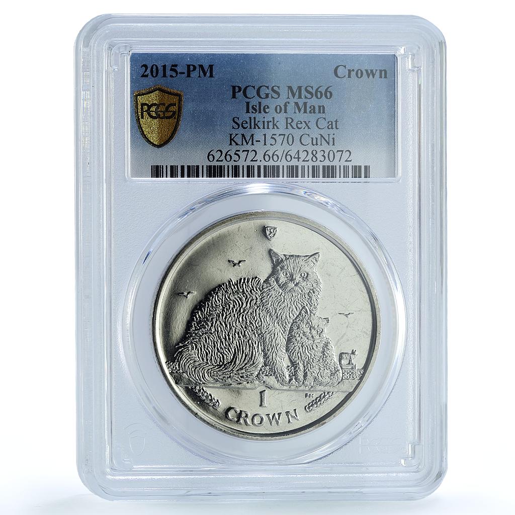 Isle of Man 1 crown Selkirk Rex Cat KM-1570 Cat Crowns MS 66 PCGS CuNi coin 2015 Isle of Man 1 crown Selkirk Rex Cat KM-1570 Cat Crowns MS 66 PCGS CuNi coin 2015