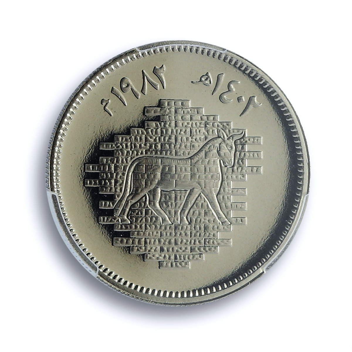 Iraq 50 fils Bull Fresco KM-162 Babylon Restoration PR 69 PCGS CuNi coin 1982 Iraq 50 fils Bull Fresco KM-162 Babylon Restoration PR 69 PCGS CuNi coin 1982
