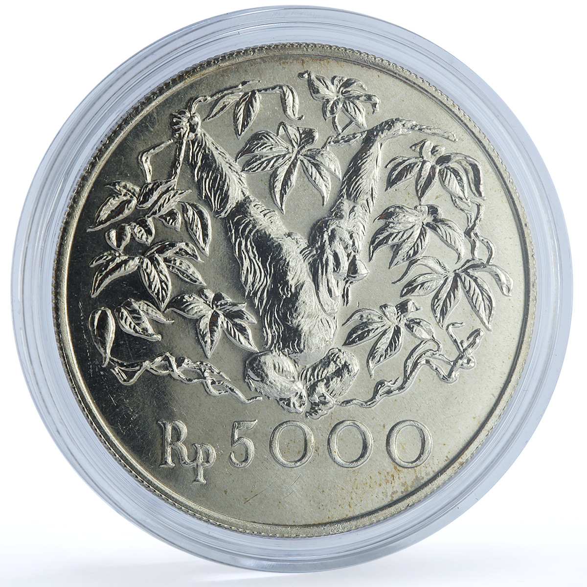 Indonesia 5000 rupiah Orangutan KM-40 Conservation Fauna Monkey silver coin 1974 Indonesia 5000 rupiah Orangutan KM-40 Conservation Fauna Monkey silver coin 1974