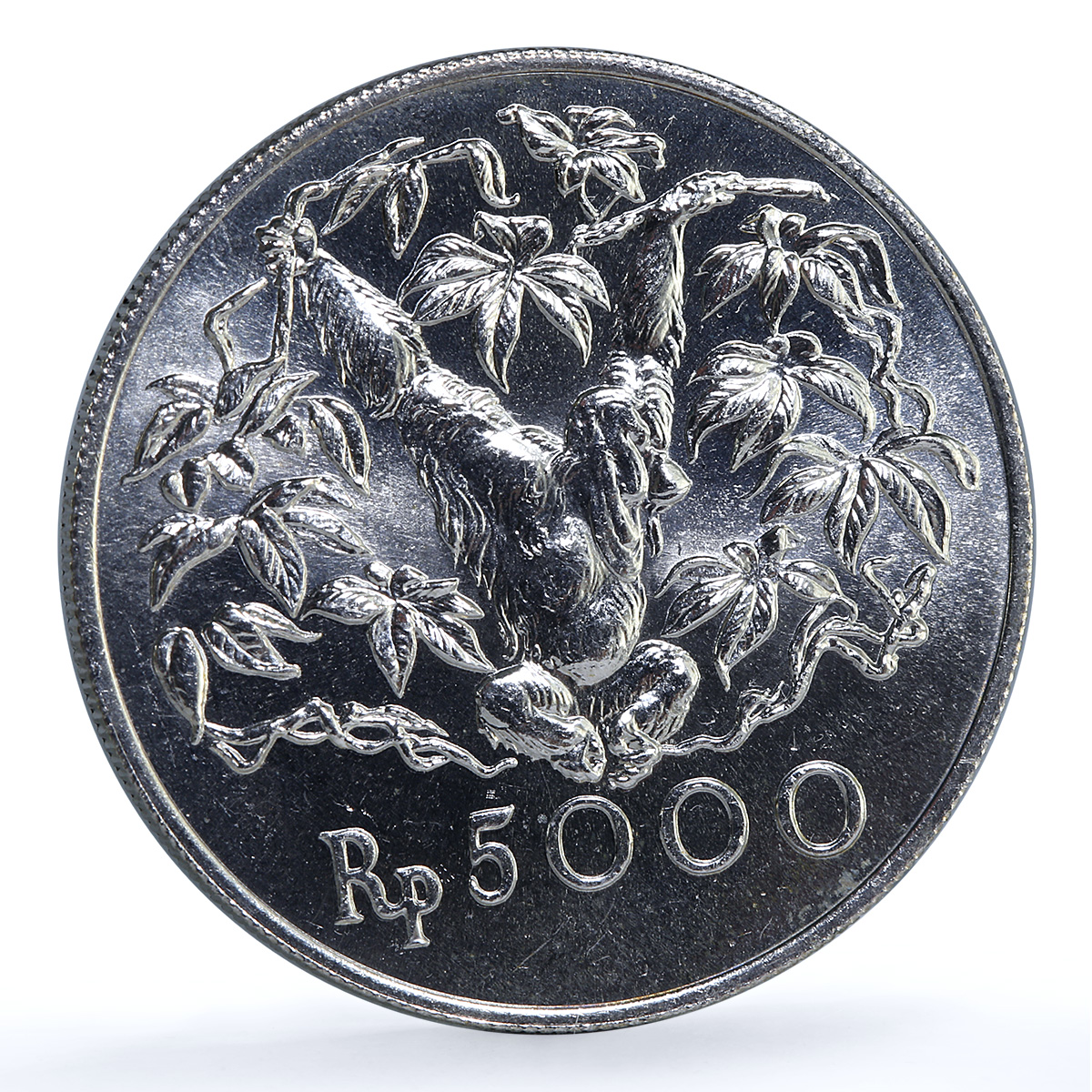 Indonesia 5000 rupiah Orangutan KM-40 Conservation Fauna Monkey silver coin 1974 Indonesia 5000 rupiah Orangutan KM-40 Conservation Fauna Monkey silver coin 1974