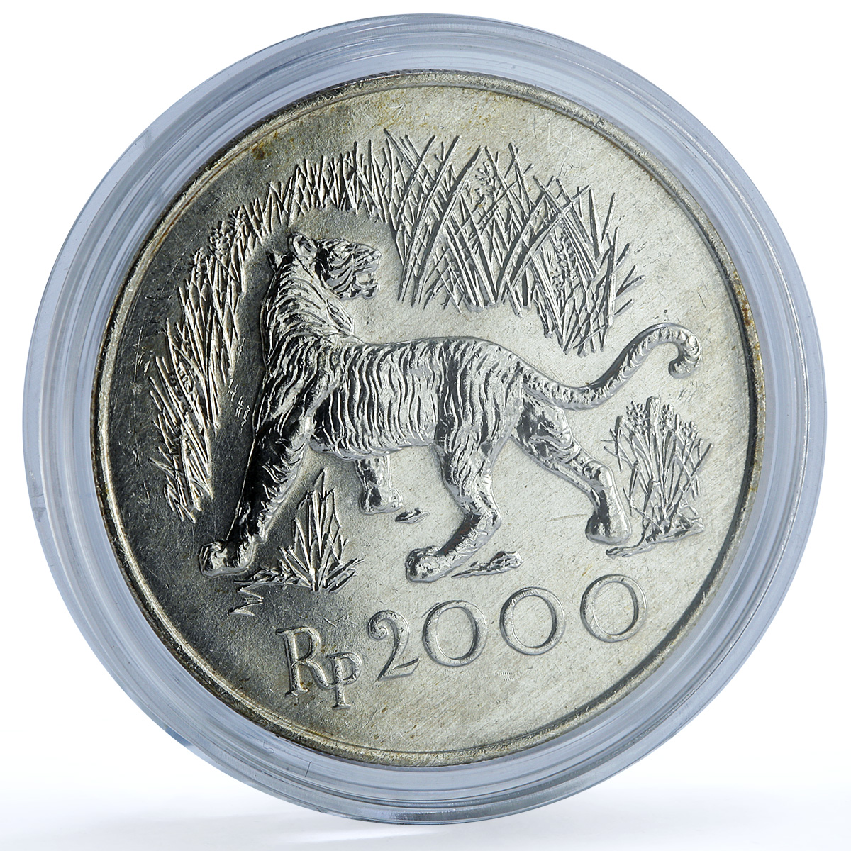 Indonesia 2000 rupiah Javan Tiger KM-39 Conservation Fauna Cat silver coin 1974 Indonesia 2000 rupiah Javan Tiger KM-39 Conservation Fauna Cat silver coin 1974