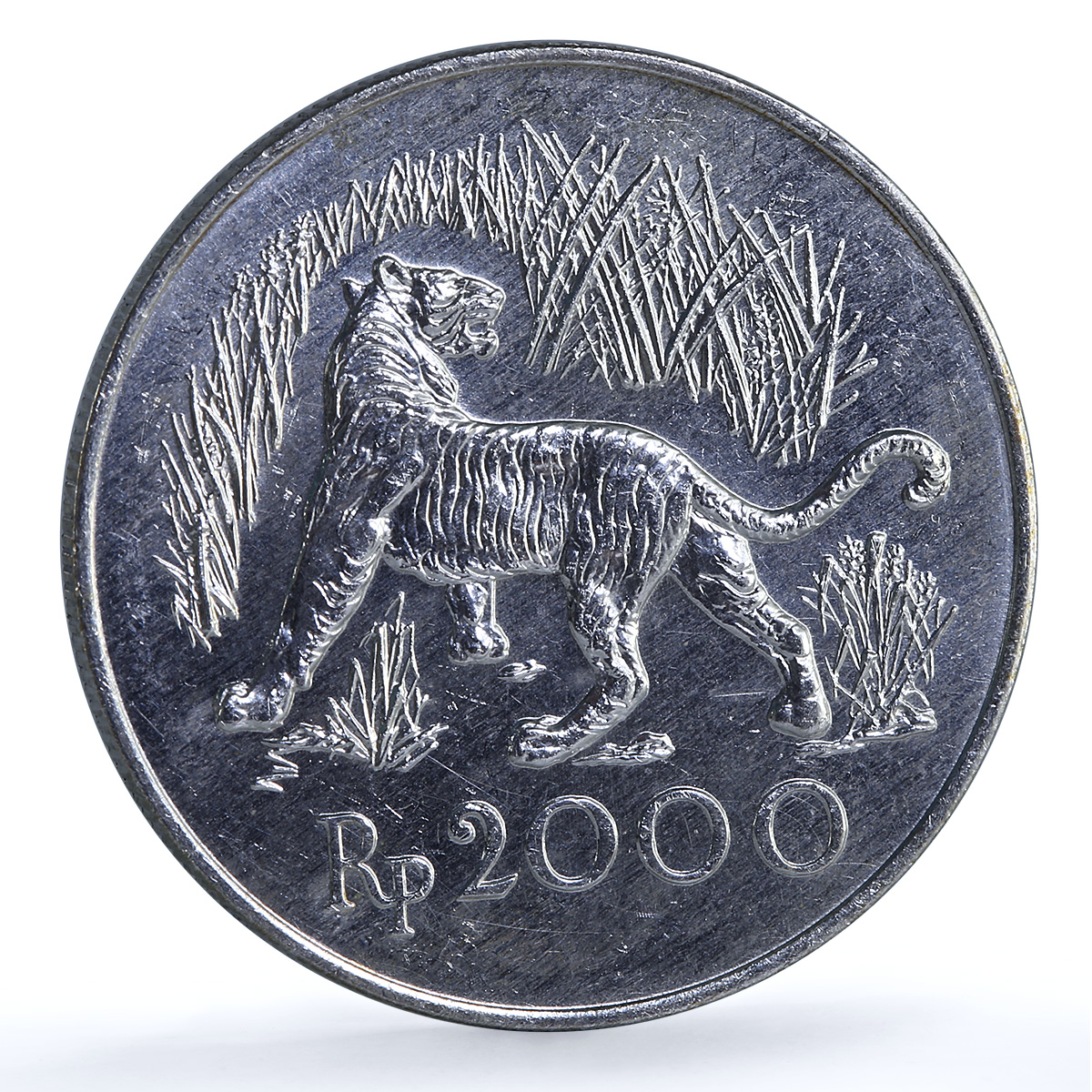 Indonesia 2000 rupiah Javan Tiger KM-39 Conservation Fauna Cat silver coin 1974 Indonesia 2000 rupiah Javan Tiger KM-39 Conservation Fauna Cat silver coin 1974