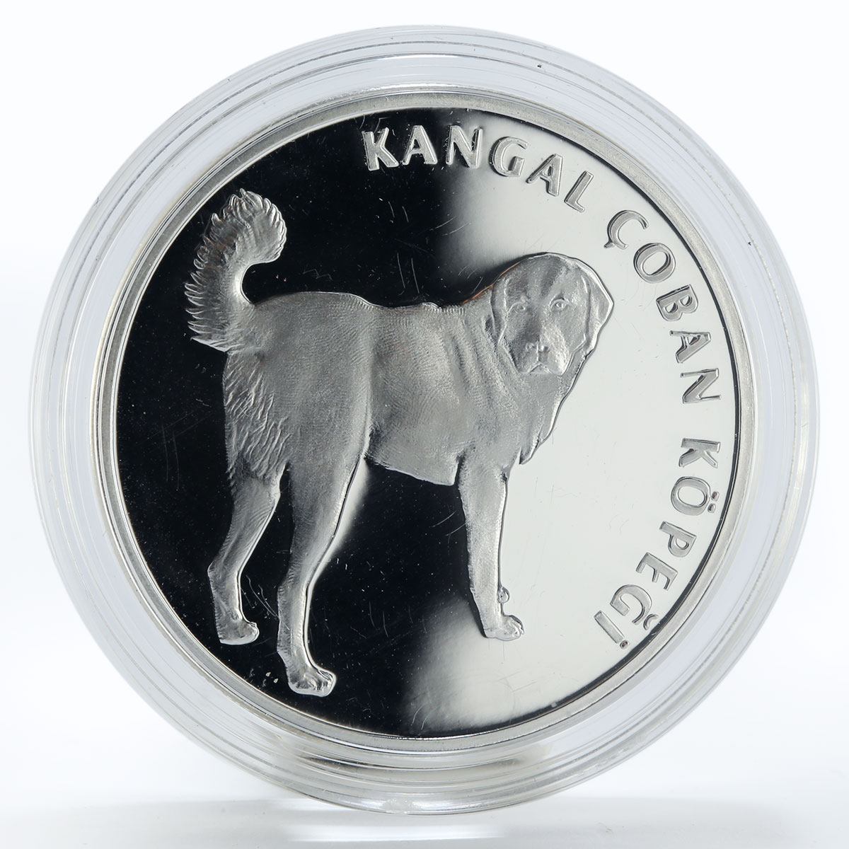 Turkey 20 lira Kangal Dog proof silver coin 2005