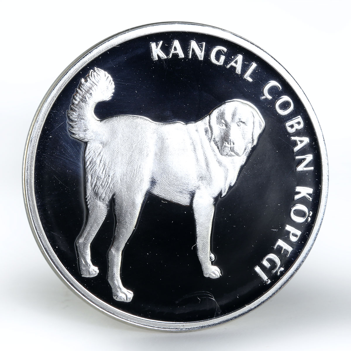 Turkey 20 lira Kangal Dog proof silver coin 2005