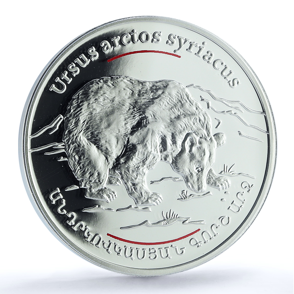 Armenia 100 dram Grey Bear KM-119 Red Book Fauna PR 70 PCGS silver coin 2006 Armenia 100 dram Grey Bear KM-119 Red Book Fauna PR 70 PCGS silver coin 2006
