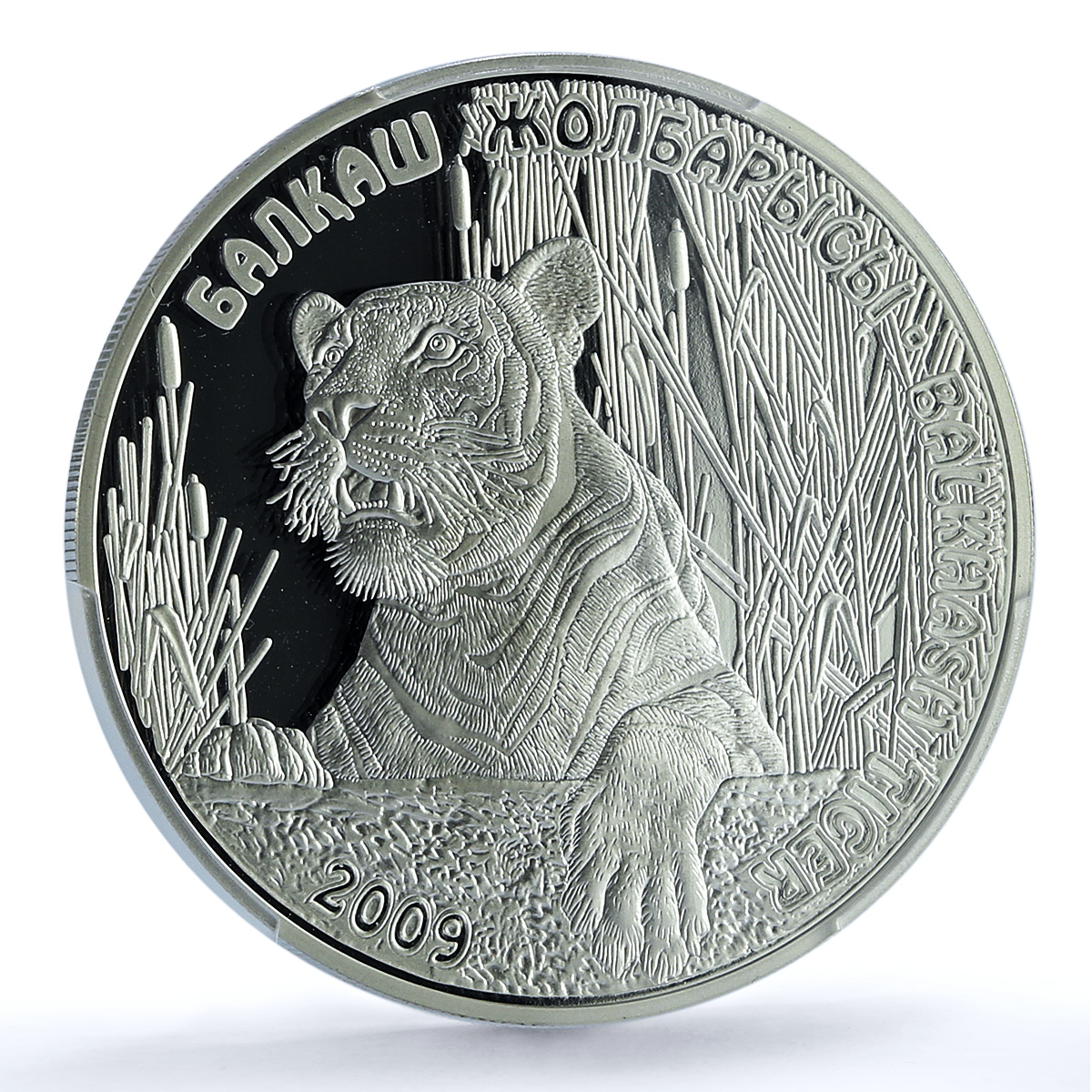 Kazakhstan 500 tenge Balkhash Tiger KM-149 Fauna Cat PR 70 PCGS silver coin 2009