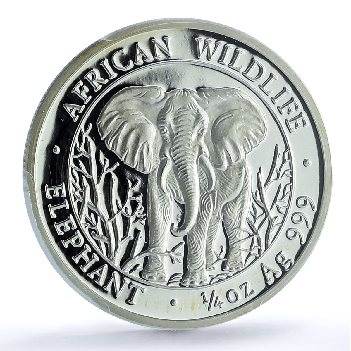 Somalia 250 shillings Elephant KM-185 Wildlife PR 70 PCGS silver coin 2004