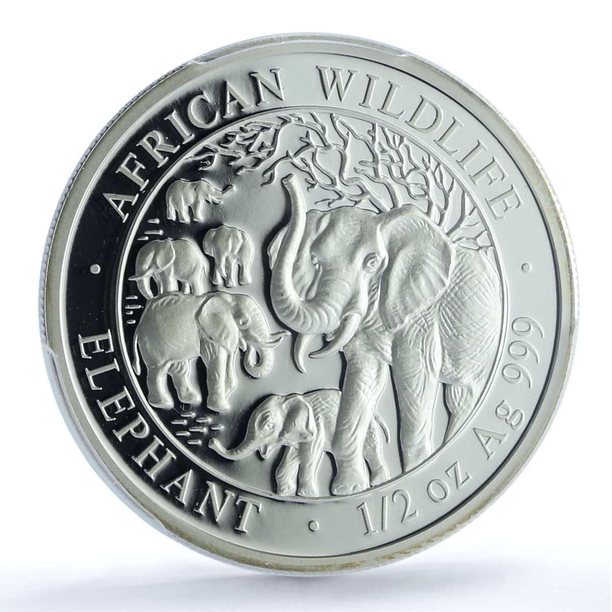 Somalia 50 shillings Elephant KM-206 Wildlife PR 70 PCGS silver coin 2008