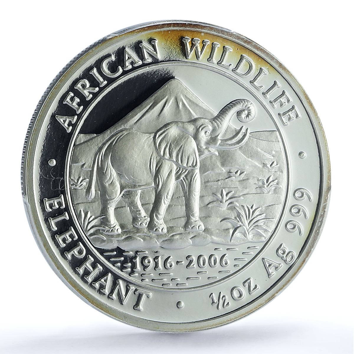 Somalia 500 shillings Elephant KM-198 Wildlife PR 70 PCGS silver coin 2006 Somalia 500 shillings Elephant KM-198 Wildlife PR 70 PCGS silver coin 2006