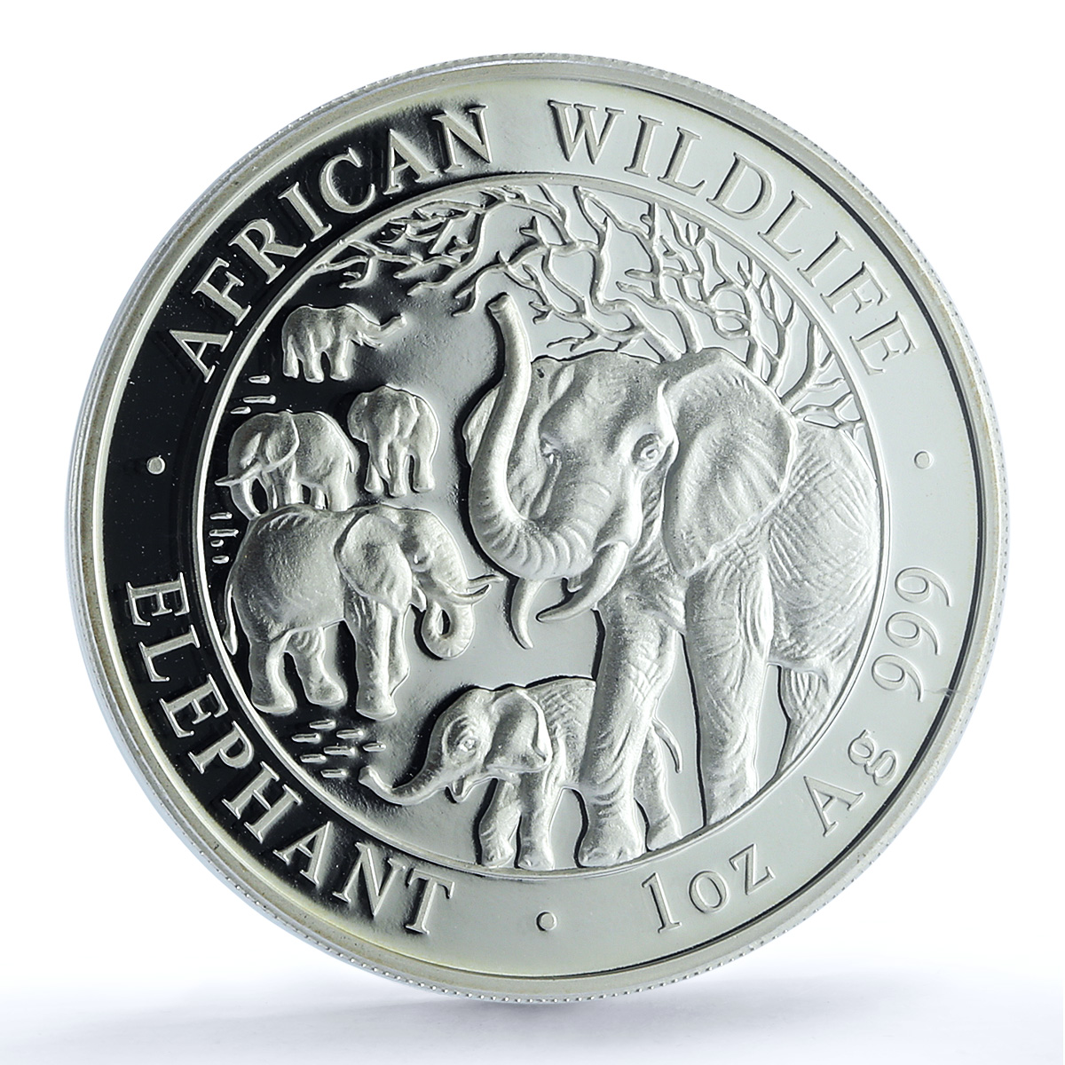 Somalia 100 shillings Elephant KM-203 Wildlife PR 70 PCGS silver coin 2008 Somalia 100 shillings Elephant KM-203 Wildlife PR 70 PCGS silver coin 2008