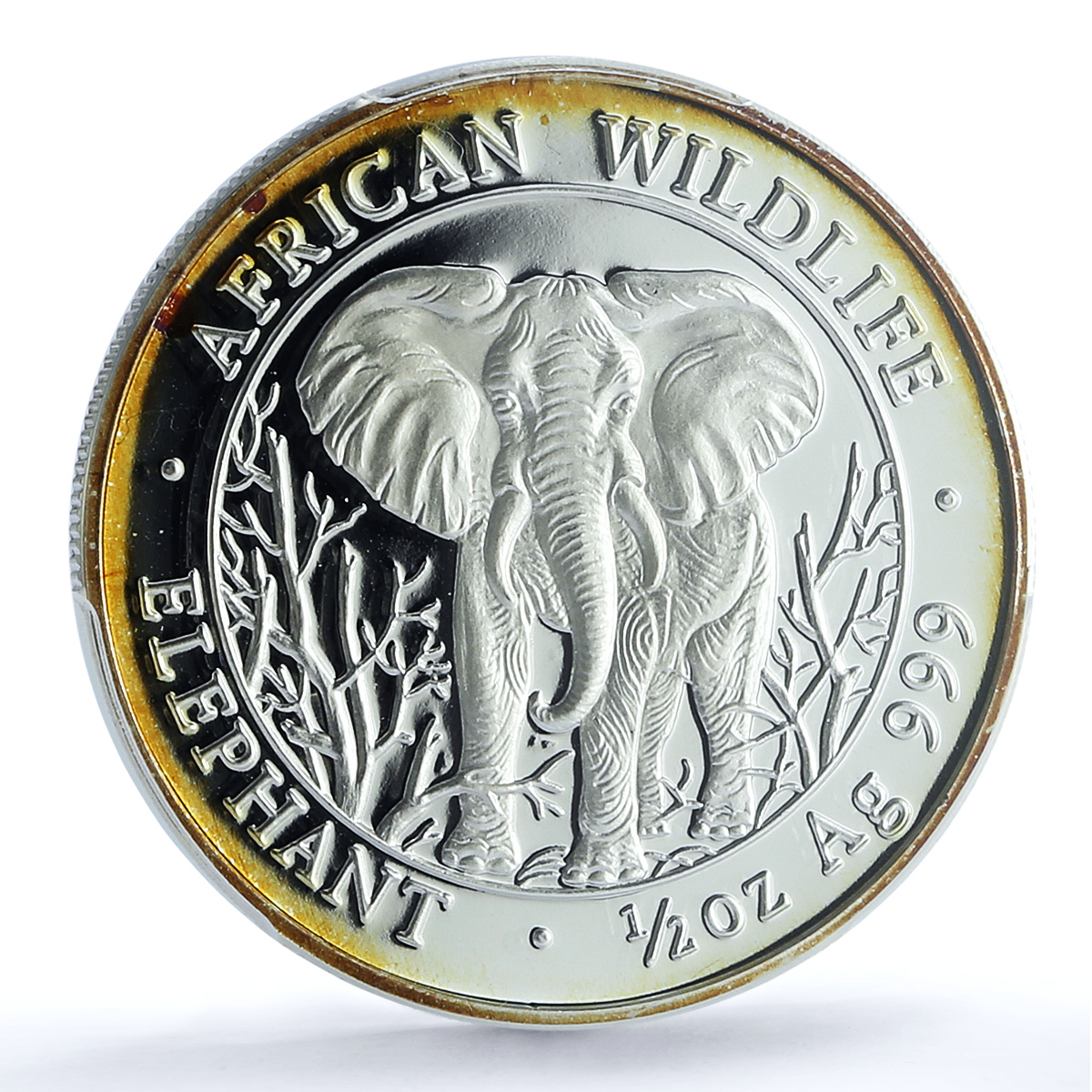 Somalia 500 shillings Elephant KM-186 Wildlife PR 69 PCGS silver coin 2004