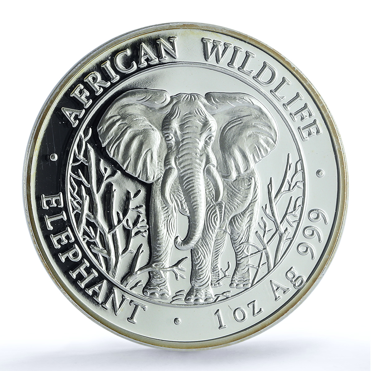 Somalia 1000 shillings Elephant KM-183 Wildlife PR 70 PCGS silver coin 2004