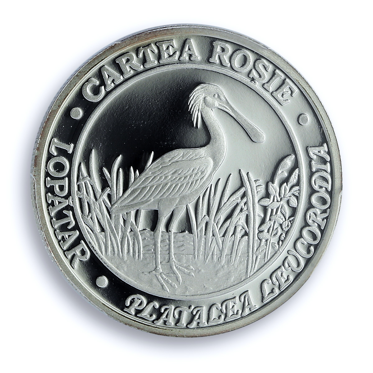 Moldova 50 lei Spoonbill KM-68 Red Book Fauna Bird PR 70 PCGS silver coin 2011 Moldova 50 lei Spoonbill KM-68 Red Book Fauna Bird PR 70 PCGS silver coin 2011