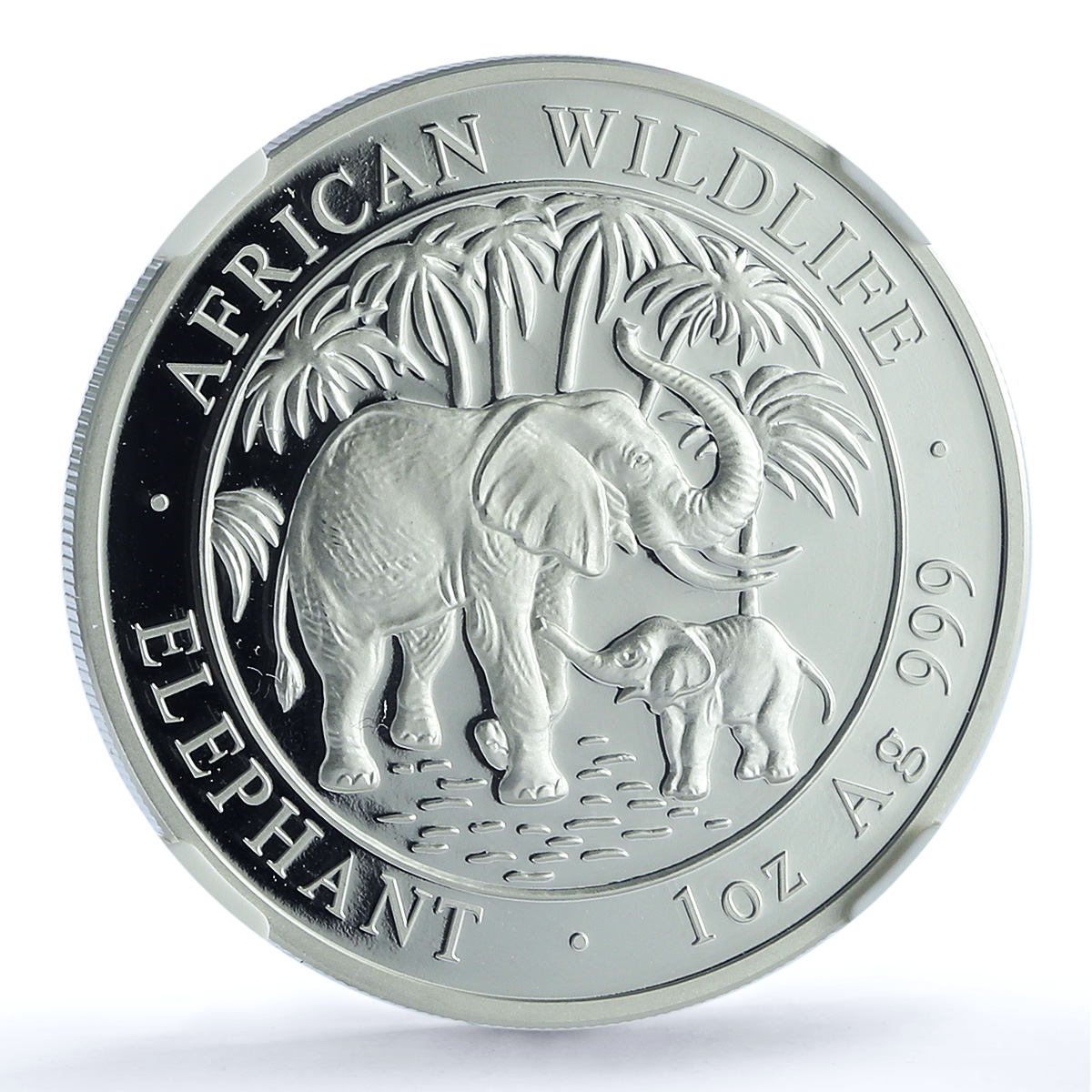 Somalia 100 shillings Elephant KM-182 African Wildlife PF70 NGC silver coin 2007
