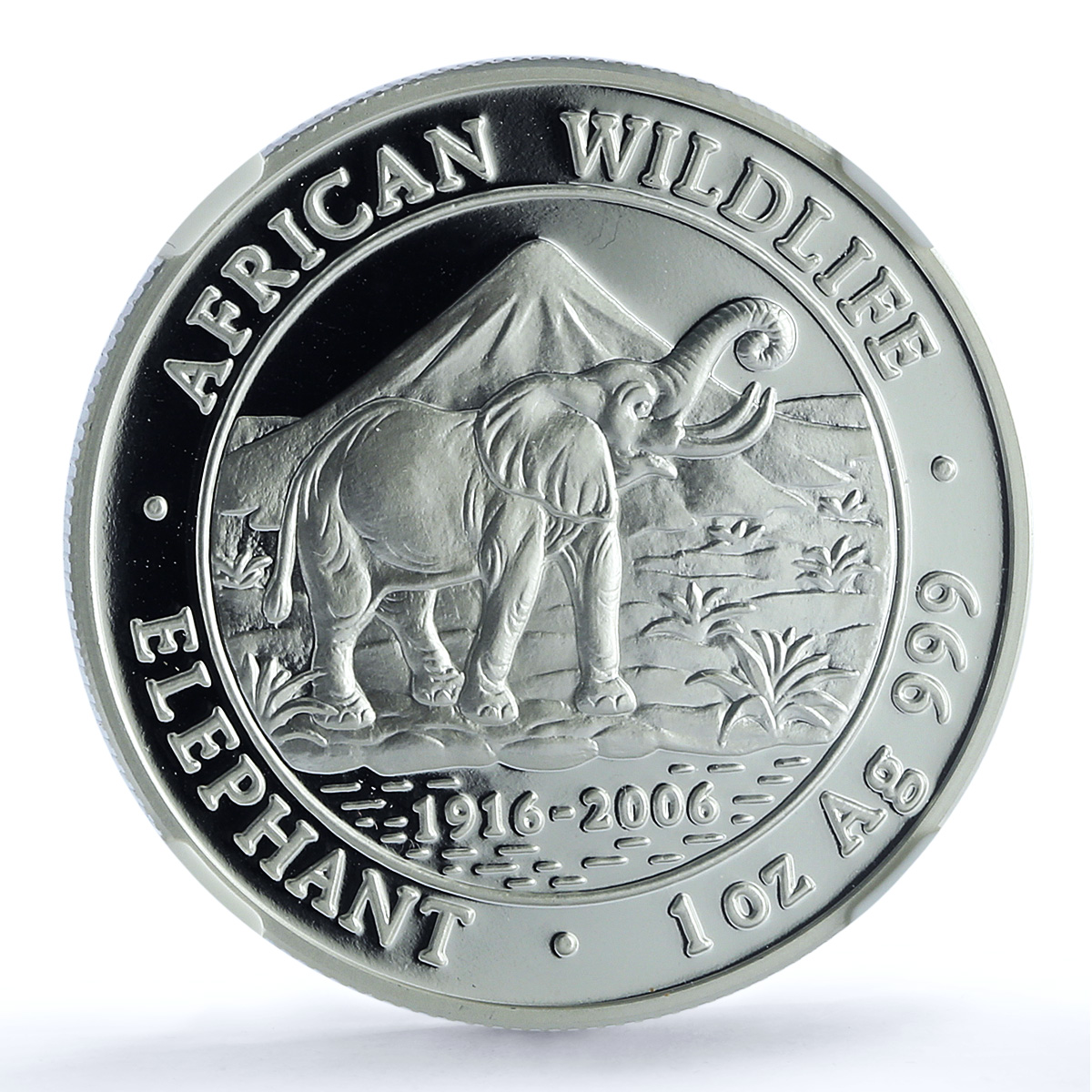 Somalia 1000 shillings Elephant KM-195 African Wildlife PF 70 NGC Ag coin 2007 Somalia 1000 shillings Elephant KM-195 African Wildlife PF 70 NGC Ag coin 2007