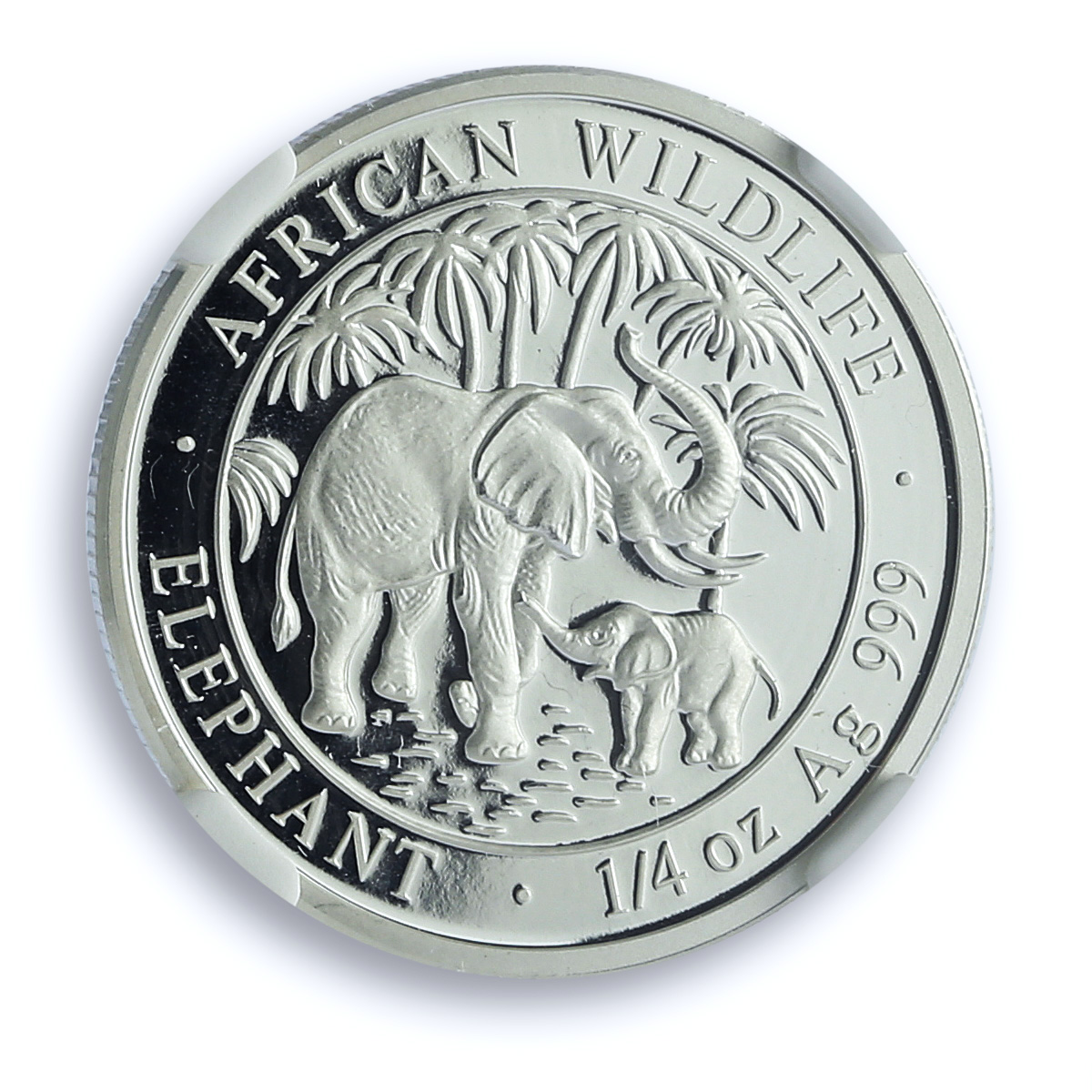 Somalia 25 shillings Elephant KM-177 African Wildlife PF 69 NGC silver coin 2007 Somalia 25 shillings Elephant KM-177 African Wildlife PF 69 NGC silver coin 2007