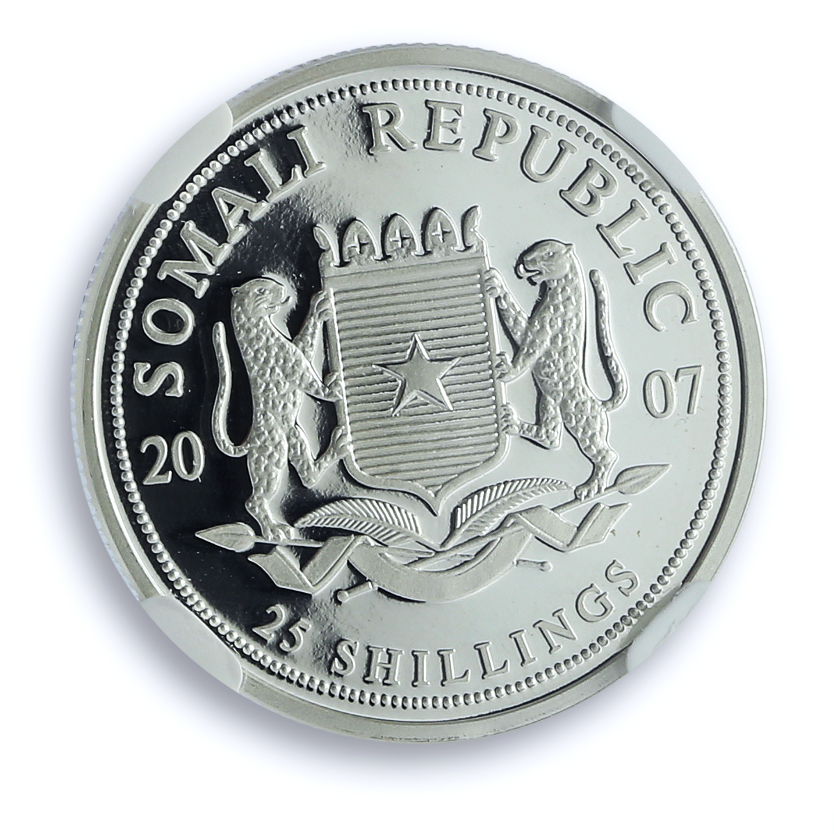 Somalia 25 shillings Elephant KM-177 African Wildlife PF 69 NGC silver coin 2007 Somalia 25 shillings Elephant KM-177 African Wildlife PF 69 NGC silver coin 2007