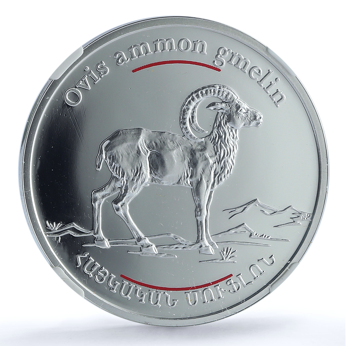 Armenia 100 dram Mouflon KM-177 Red Book Fauna Goat PF 70 NGC silver coin 2008
