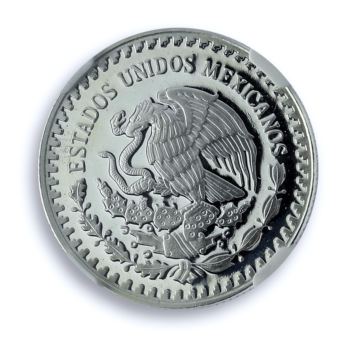 Mexico 1/4 onza Libertad Angel of Independence KM-544 PF 67 NGC silver coin 1995 Mexico 1/4 onza Libertad Angel of Independence KM-544 PF 67 NGC silver coin 1995