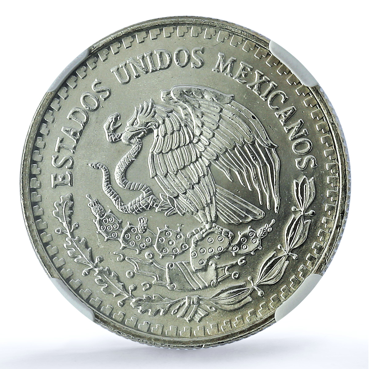 Mexico 1/2 onza Libertad Angel of Independence KM-545 MS 64 NGC silver coin 1994